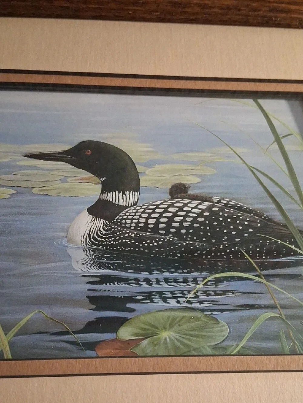 Vintage framed print